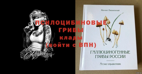 винт Богородицк
