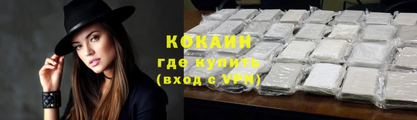 PSILOCYBIN Богданович