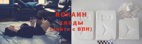 соль ск Богородск