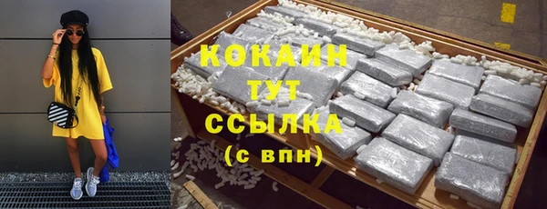 PSILOCYBIN Богданович